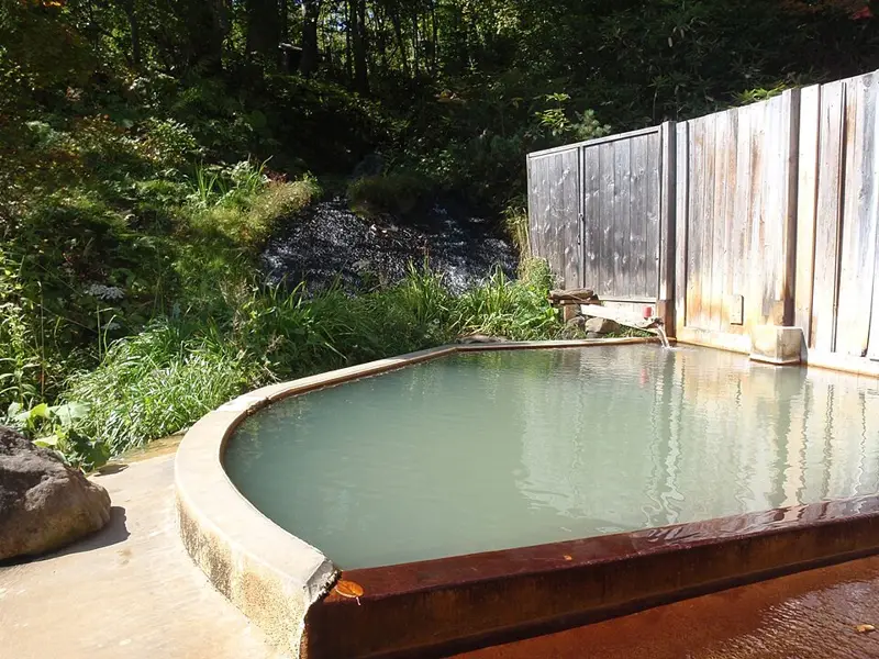 Mixed Outdoor Onsen