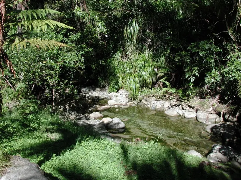 Morere Hot Springs