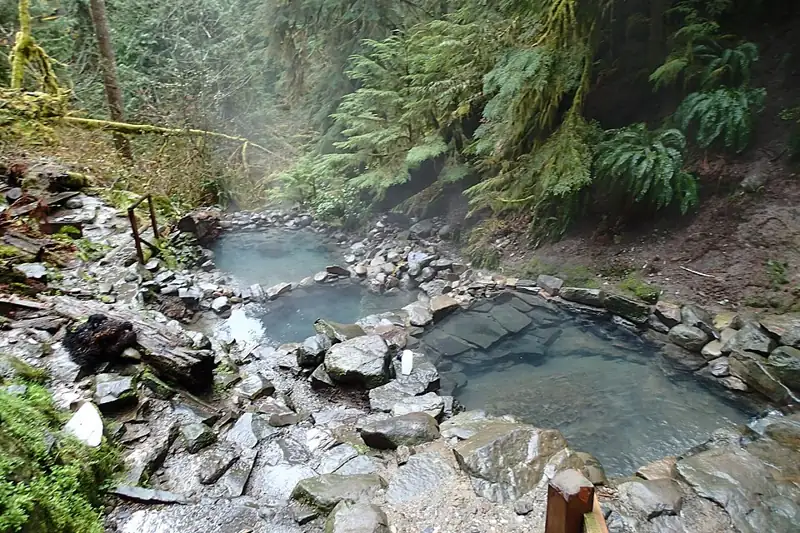 Terwilliger (Cougar) Hot Springs