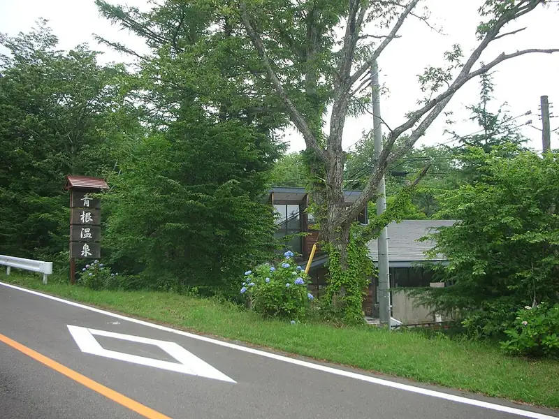 青根温泉 じゃっぽの湯